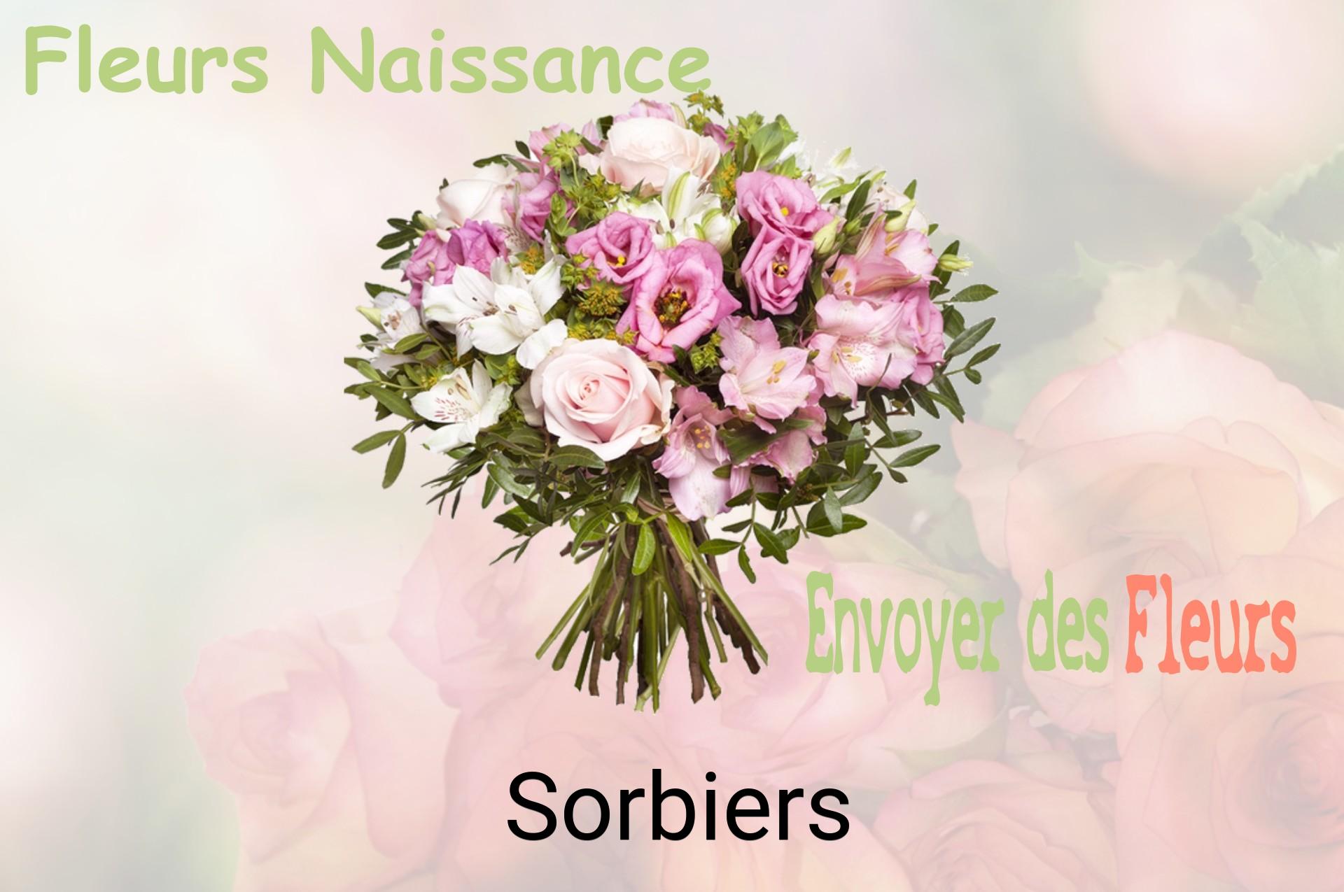 Bouquet de fleurs de naissance livré à Sorbiers